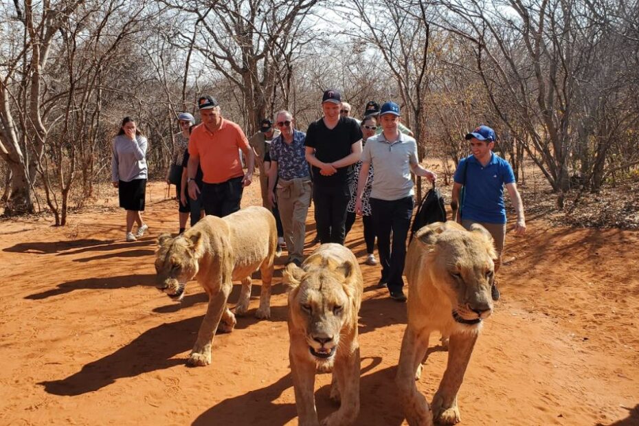 Kosher Safaris South Africa