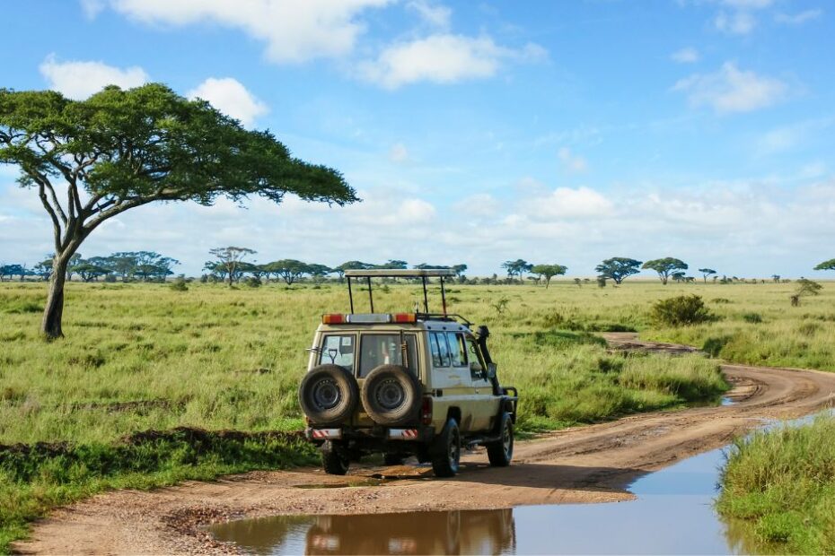 safari tours