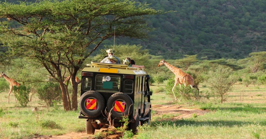 Experience the Wonders of Kosher Safari Tours in Africa