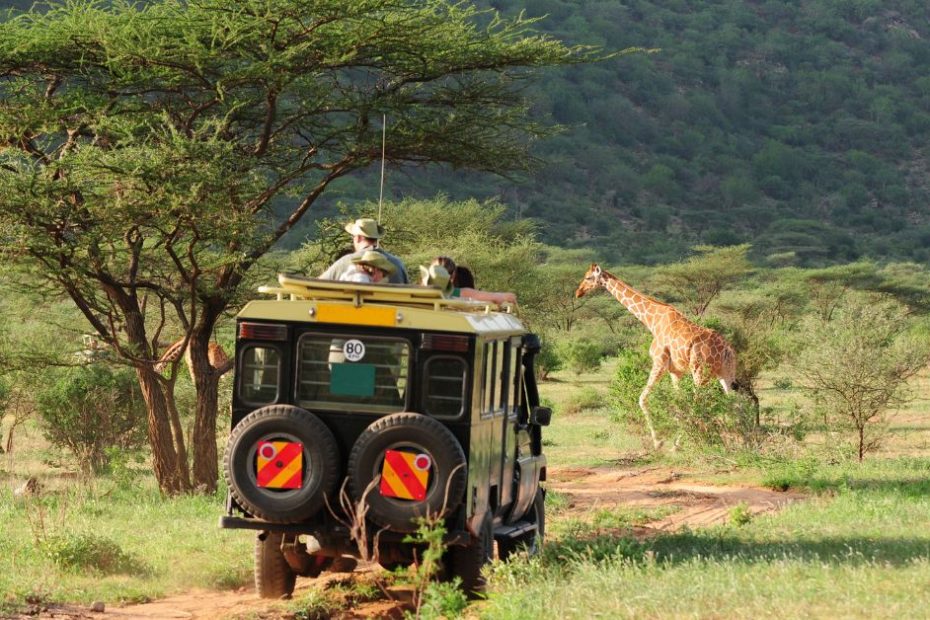 Experience the Wonders of Kosher Safari Tours in Africa