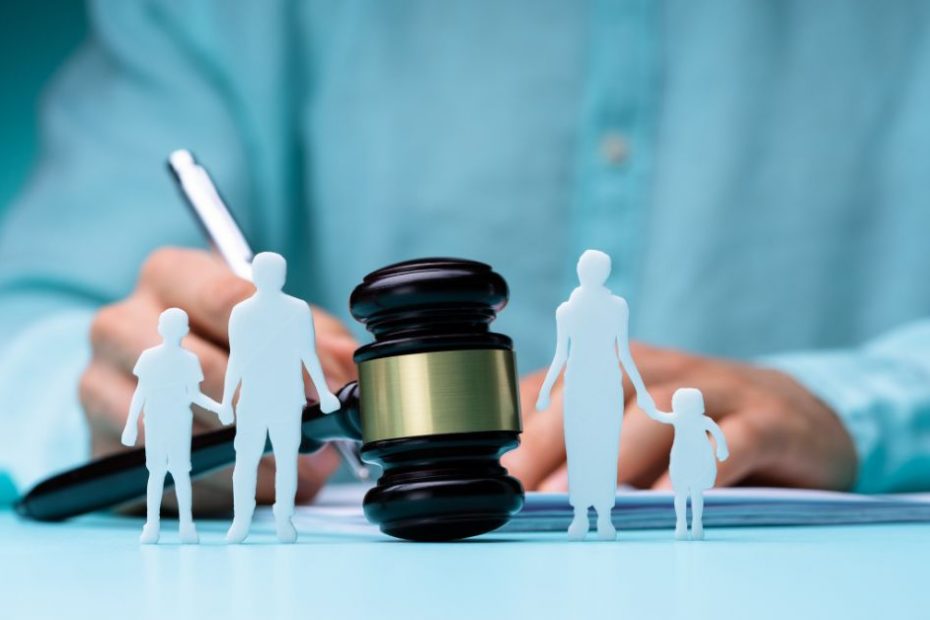 Understanding the Role of Legal Professionals in Family and Labour Law Matters