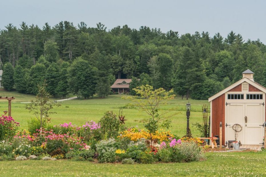 Choosing the Perfect Wendy House for Your Needs