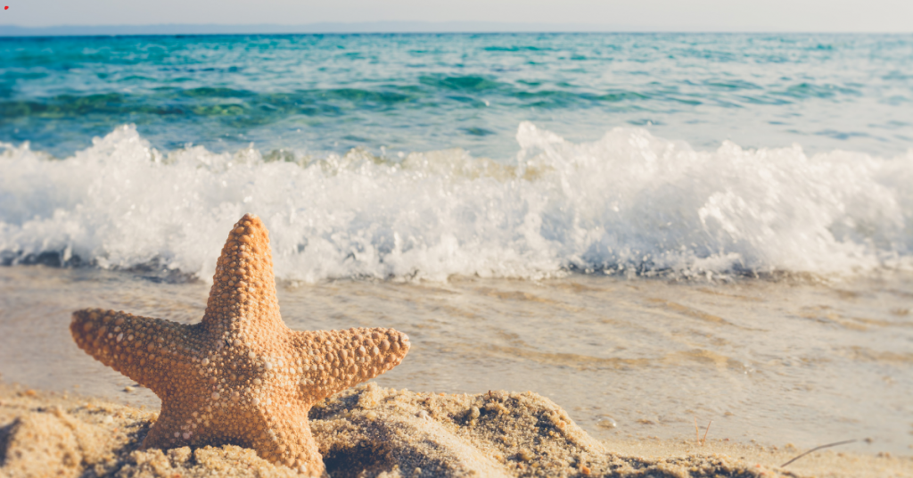 Enjoying the Beach Simple Ways to Make Your Day Better