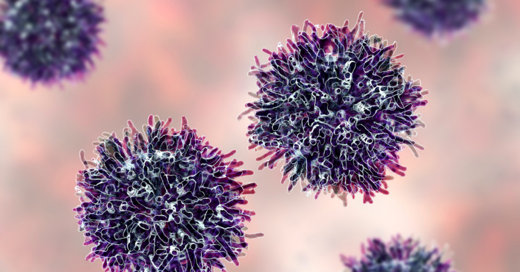 Wooden Outdoor Structures ()