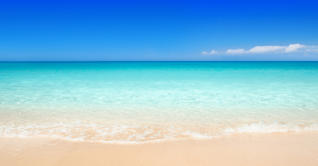 backlinks picures ()