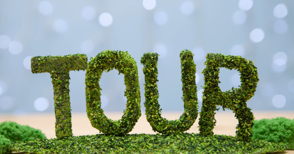 What to Expect From a Soweto Tour