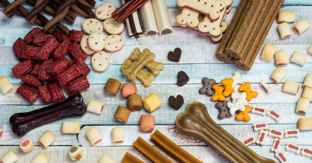 Choosing the Right Meals for Dogs at Home