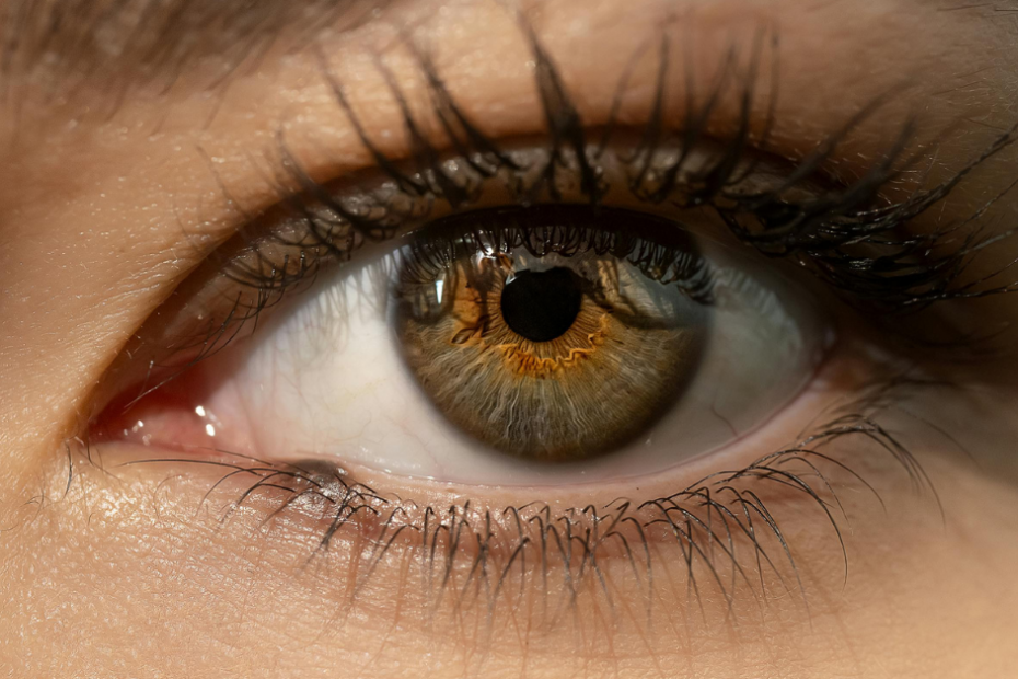 Clear Vision and Modern Eye Care