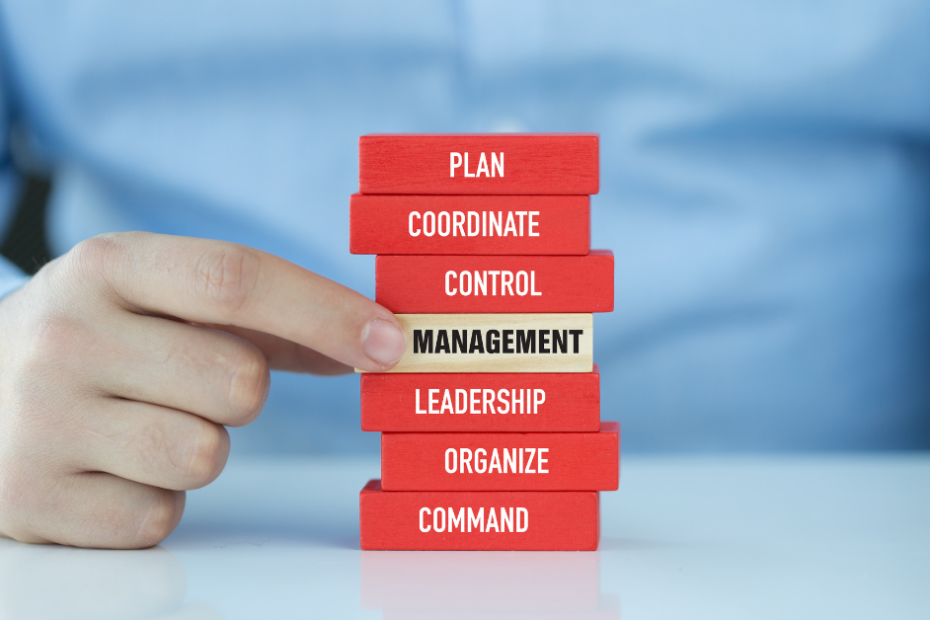 Creating Memorable Brand Experiences through Events and Media