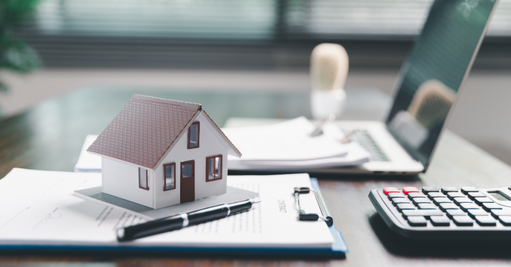 Dec Backlinks Dani ()