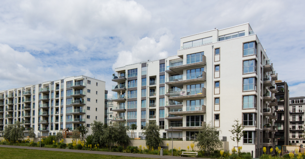 Dec Backlinks Dani ()