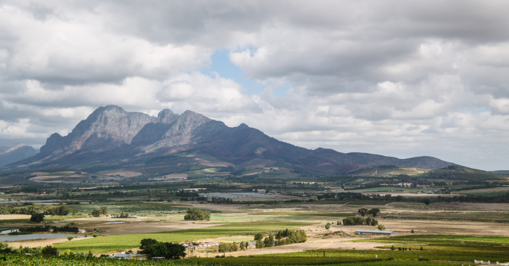 Dec Backlinks Dani ()