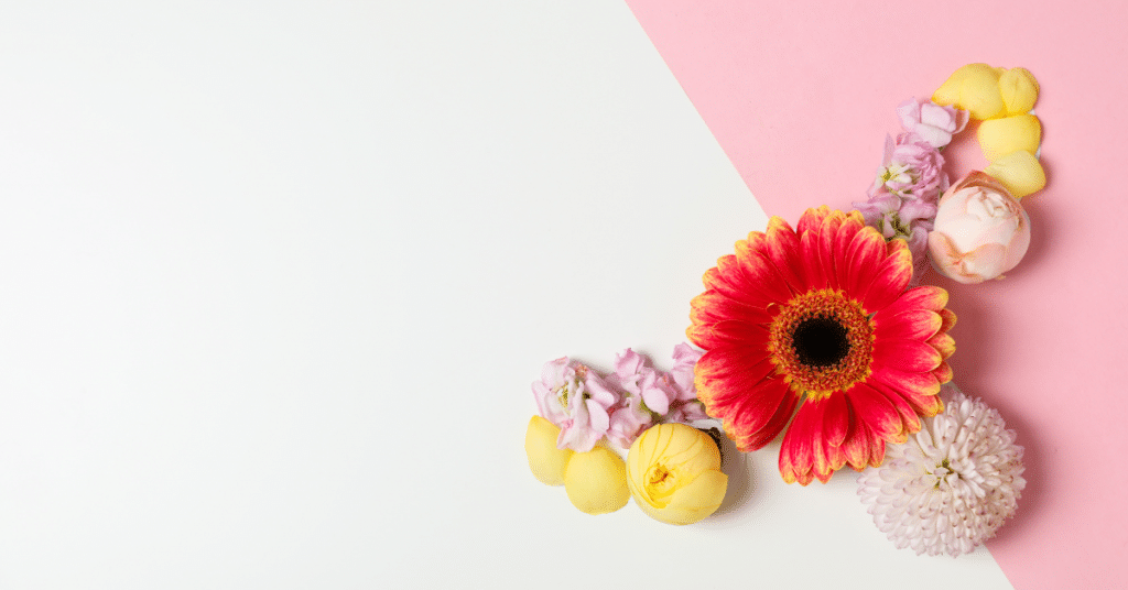 Understanding Support and Care Options for Women