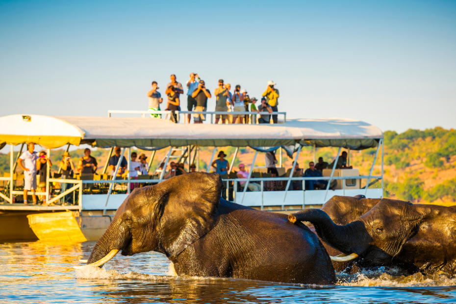 What Makes Botswana Safari Experiences Special