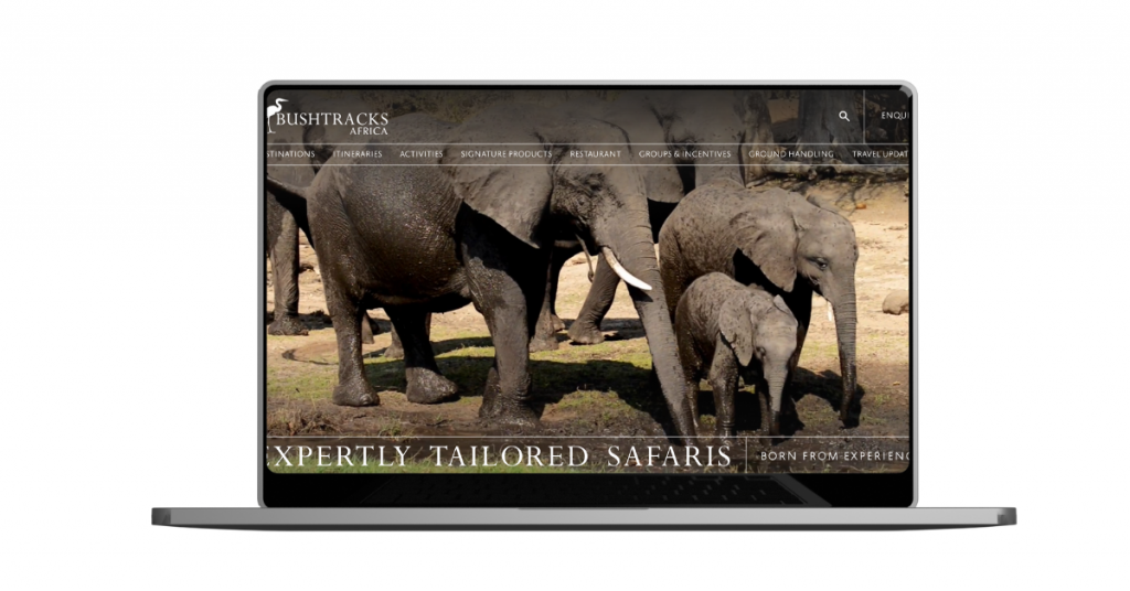 bushtracks africa ()