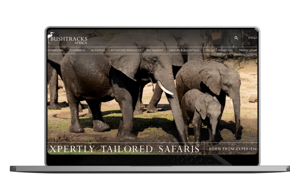 bushtracks africa ()