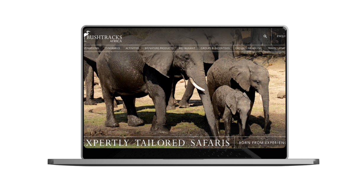 Bushtracks Africa Launches New Website