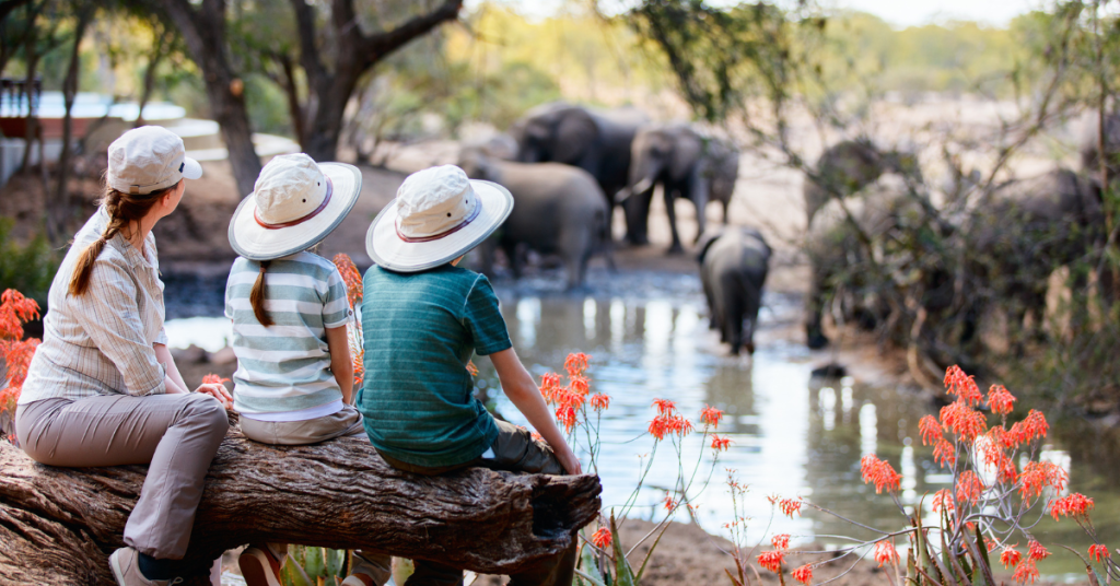 Why Botswana Is One of the Best Safari Destinations in Africa