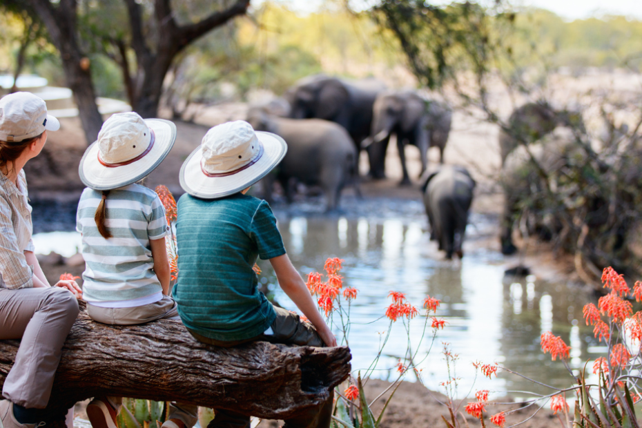 Why Botswana Is One of the Best Safari Destinations in Africa