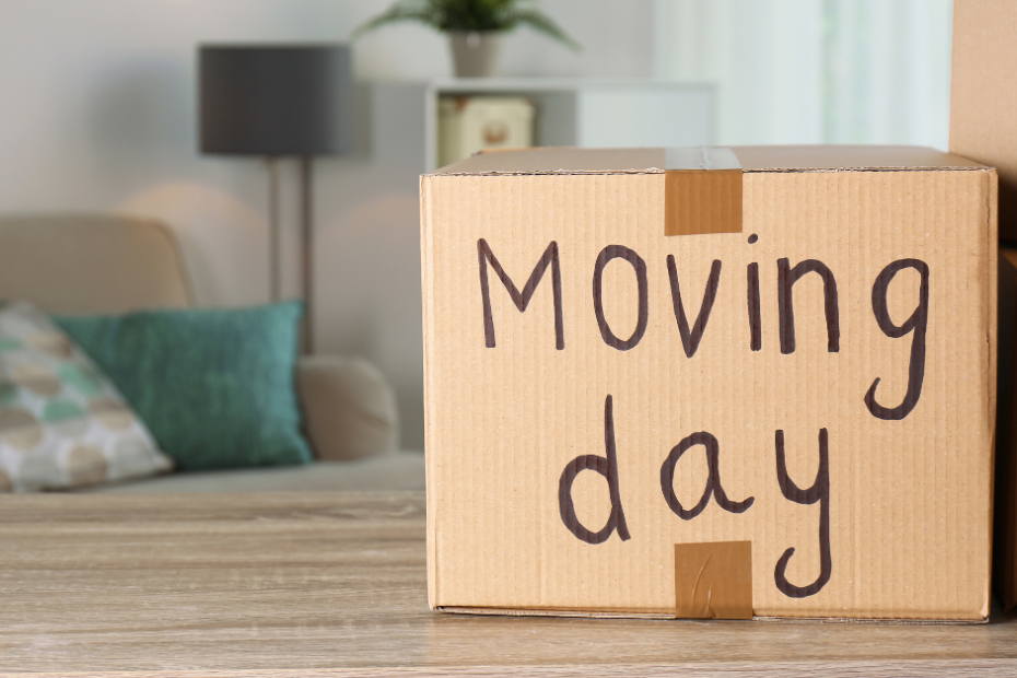 What You Should Know Before Buying a Flat or Apartment in Johannesburg