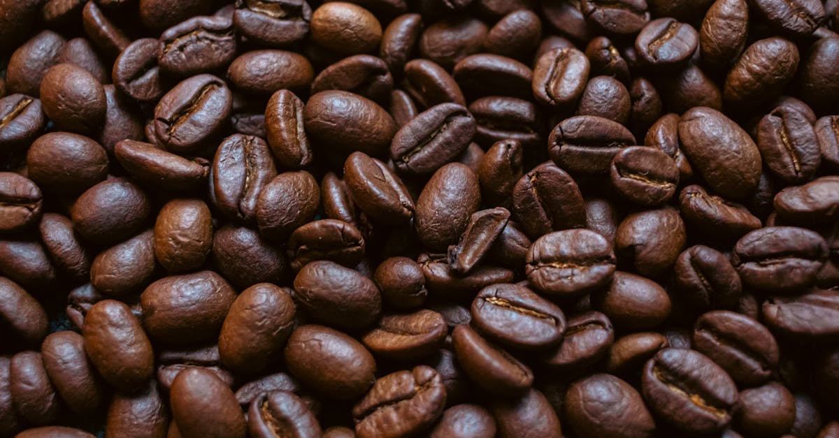 What Makes South African Coffee Beans Stand Out From the Rest