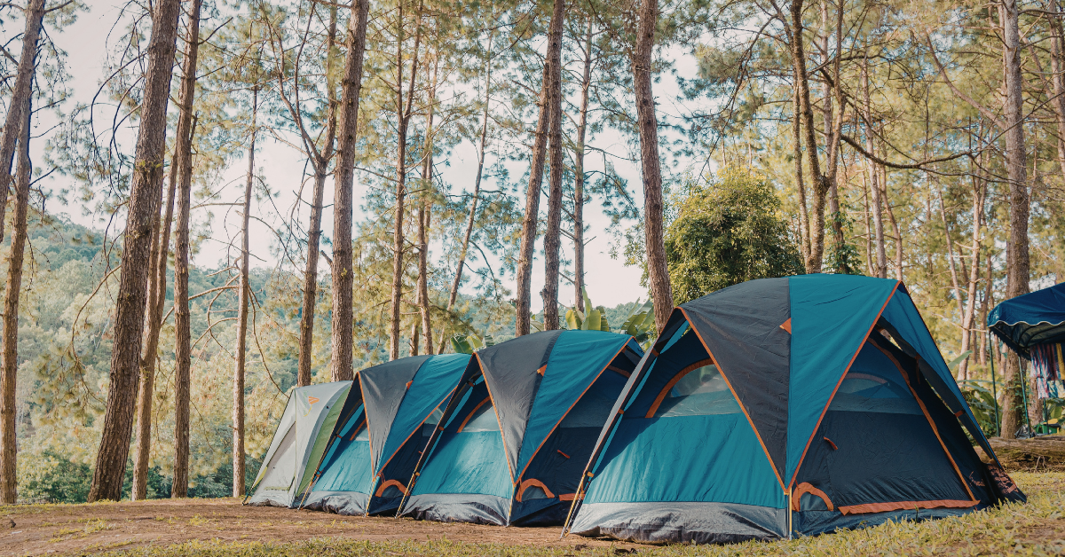 Why a Vehicle Awning Is the One Accessory Every Outdoor South African Needs