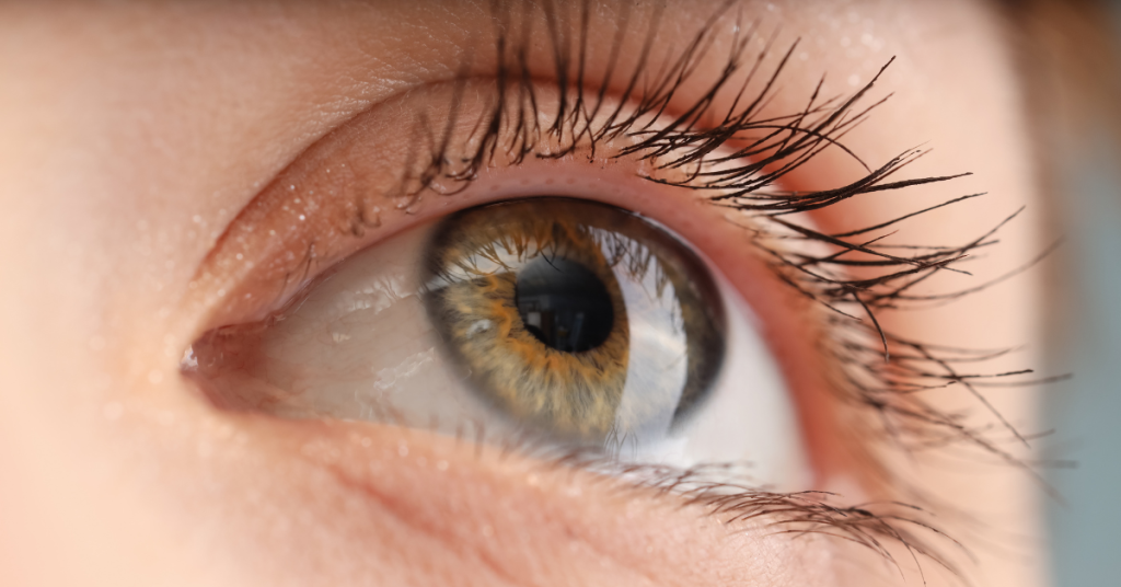 What You Need to Know About Eye Surgery and Finding the Right Eye Doctor