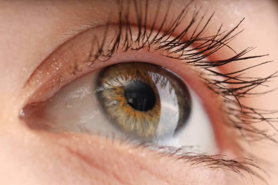 What You Need to Know About Eye Surgery and Finding the Right Eye Doctor