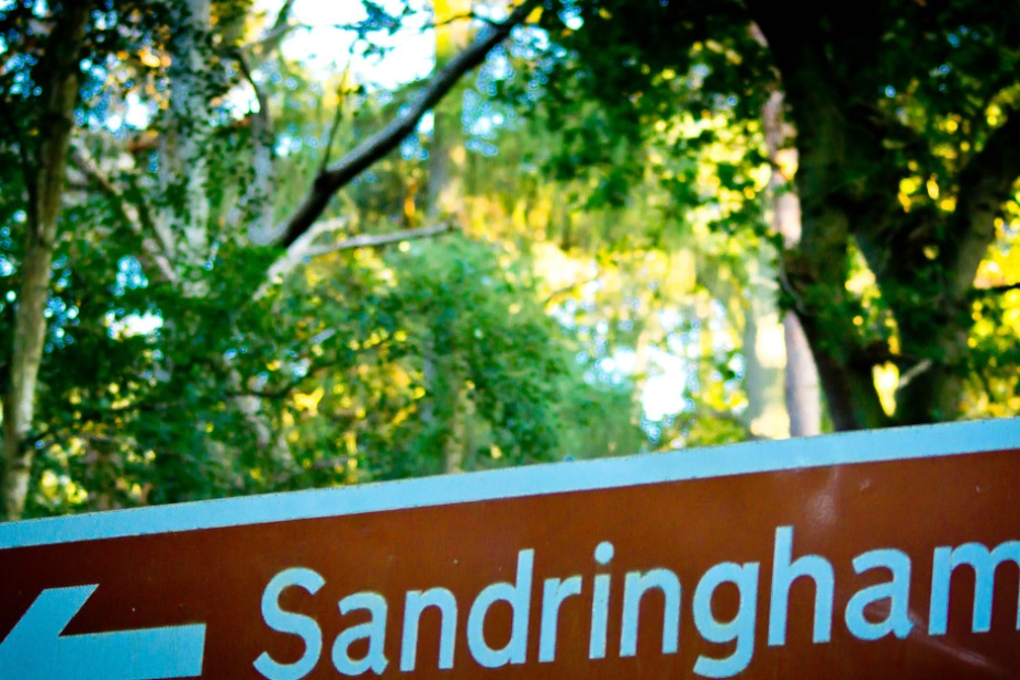 What To Know Before Renting In Sandringham