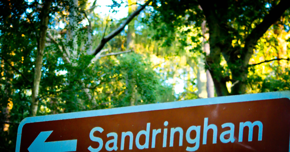 What To Know Before Renting In Sandringham