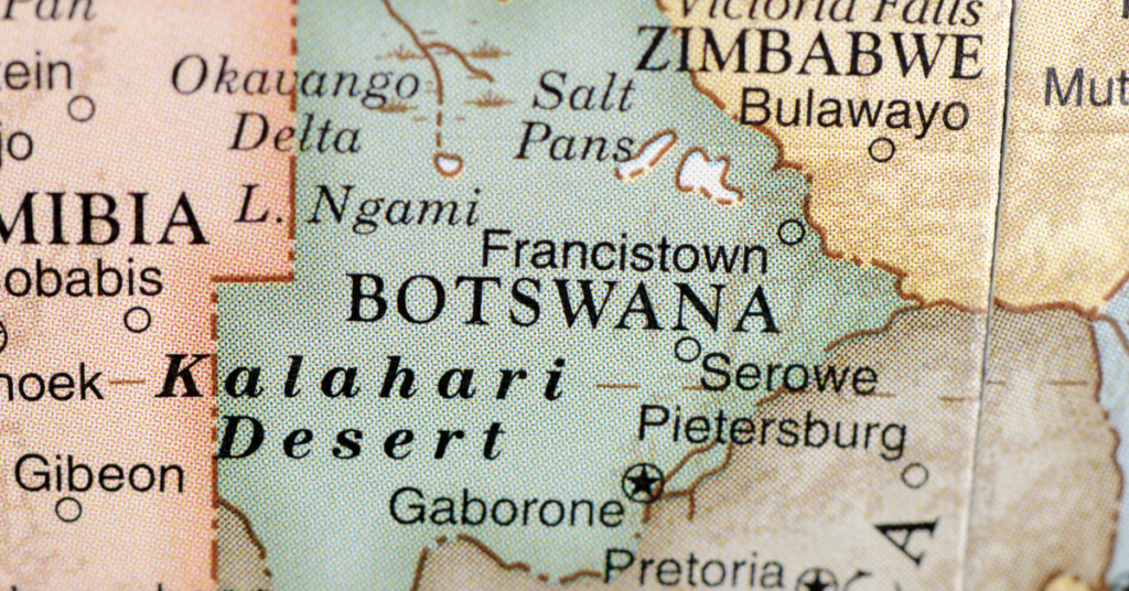 Planning a Safari in Botswana What Travellers Should Know