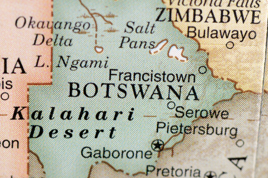 Planning a Safari in Botswana What Travellers Should Know
