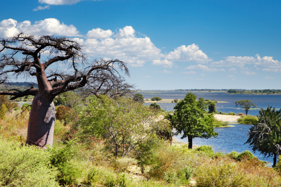 Why Winter Is The Finest Season For A Botswana Safari